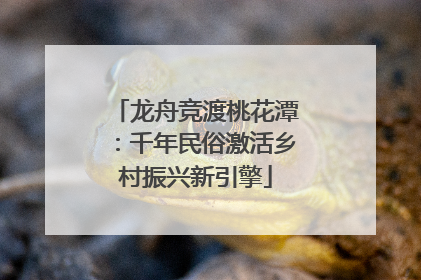 龙舟竞渡桃花潭：千年民俗激活乡村振兴新引擎