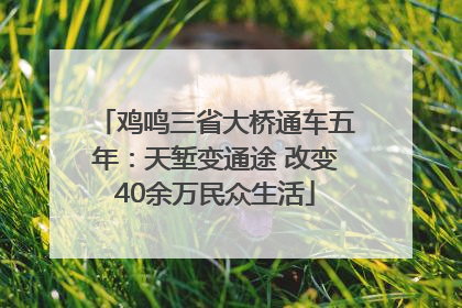 鸡鸣三省大桥通车五年：天堑变通途 改变40余万民众生活