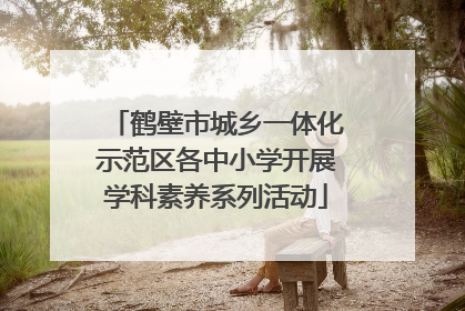 鹤壁市城乡一体化示范区各中小学开展学科素养系列活动