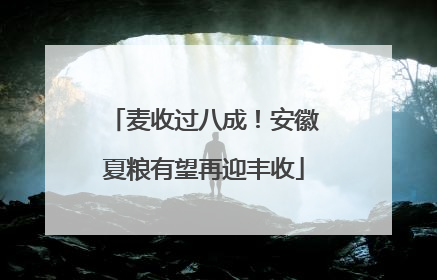 麦收过八成！安徽夏粮有望再迎丰收