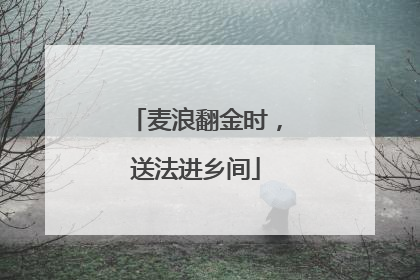 麦浪翻金时，送法进乡间