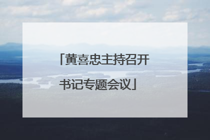 黄喜忠主持召开书记专题会议