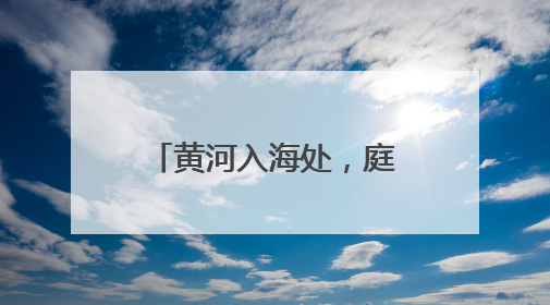 黄河入海处，庭院生金时——黄河口畔“归寻小院”的振兴密码