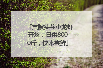 黄陂头茬小龙虾开炫，日供8000斤，快来尝鲜