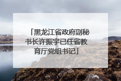 黑龙江省政府副秘书长许振宇已任省教育厅党组书记