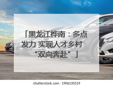 黑龙江桦南：多点发力 实现人才乡村“双向奔赴”