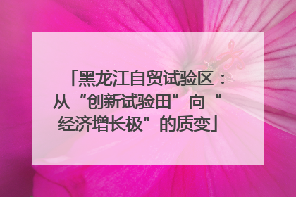 黑龙江自贸试验区：从“创新试验田”向“经济增长极”的质变