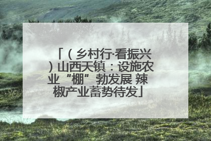 （乡村行·看振兴）山西天镇：设施农业“棚”勃发展 辣椒产业蓄势待发