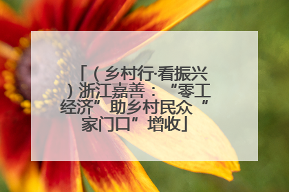 （乡村行·看振兴）浙江嘉善：“零工经济”助乡村民众“家门口”增收