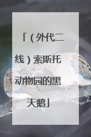 （外代二线）索斯托动物园的黑天鹅