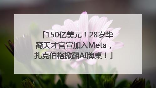 150亿美元！28岁华裔天才官宣加入Meta，扎克伯格掀翻AI牌桌！