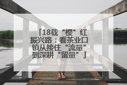 18载“樱”红振兴路：看茶业口镇从接住“流量”到深耕“留量”