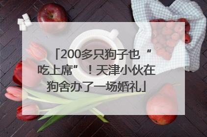 200多只狗子也“吃上席”！天津小伙在狗舍办了一场婚礼