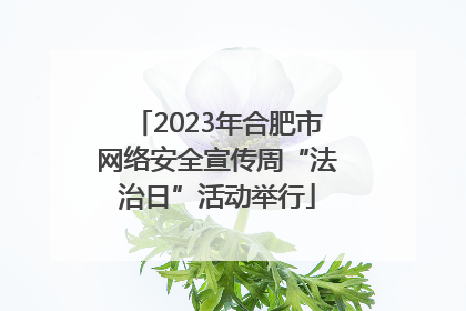 2023年合肥市网络安全宣传周“法治日”活动举行