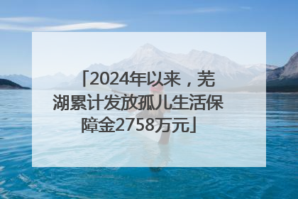 2024年以来，芜湖累计发放孤儿生活保障金2758万元