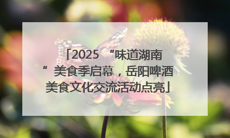 2025 “味道湖南”美食季启幕，岳阳啤酒美食文化交流活动点亮