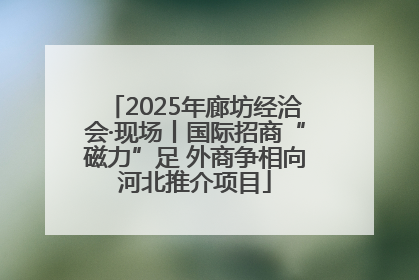 2025年廊坊经洽会·现场丨国际招商“磁力”足 外商争相向河北推介项目