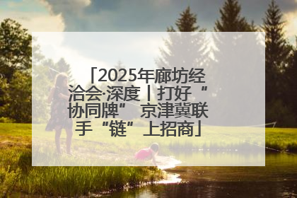 2025年廊坊经洽会·深度丨打好“协同牌” 京津冀联手“链”上招商
