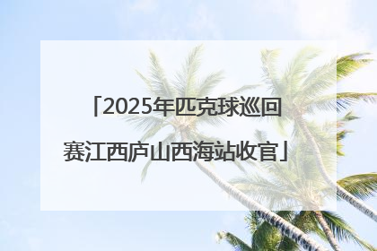 2025年匹克球巡回赛江西庐山西海站收官