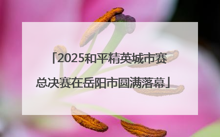 2025和平精英城市赛总决赛在岳阳市圆满落幕