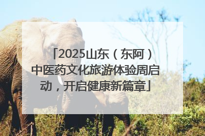 2025山东（东阿）中医药文化旅游体验周启动，开启健康新篇章
