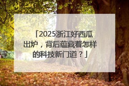 2025浙江好西瓜出炉，背后蕴藏着怎样的科技新门道？