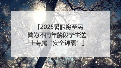 2025暑假将至民警为不同年龄段学生送上专属“安全锦囊”