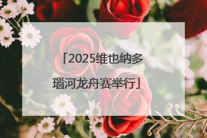 2025维也纳多瑙河龙舟赛举行