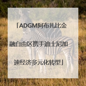 ADGM阿布扎比金融自由区携手迪士尼加速经济多元化转型