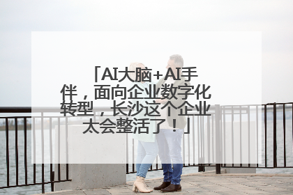 AI大脑+AI手伴，面向企业数字化转型，长沙这个企业太会整活了！
