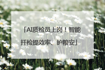 AI质检员上岗！智能扦检提效率、护粮安