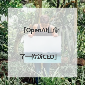 OpenAI任命了一位新CEO