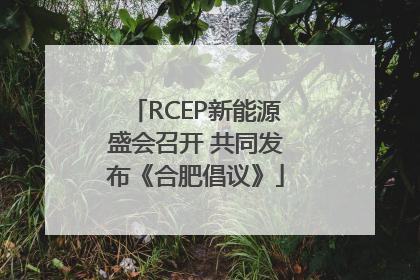 RCEP新能源盛会召开 共同发布《合肥倡议》